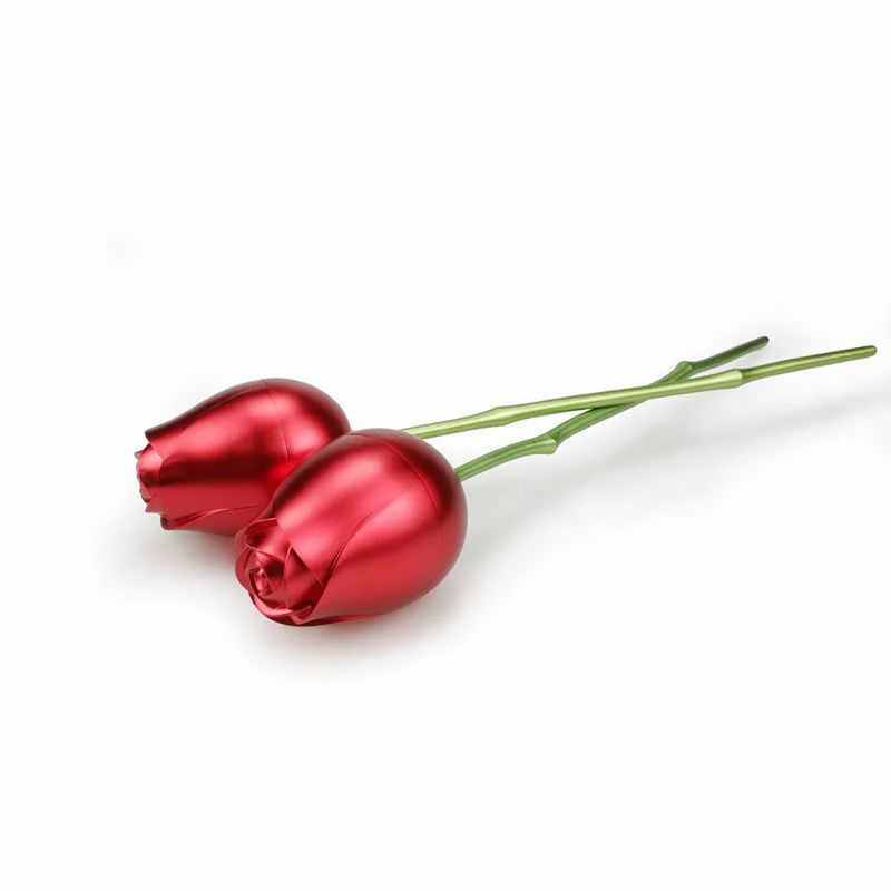 Rose Stem 925 Sterling Silver Necklace Gift Set
