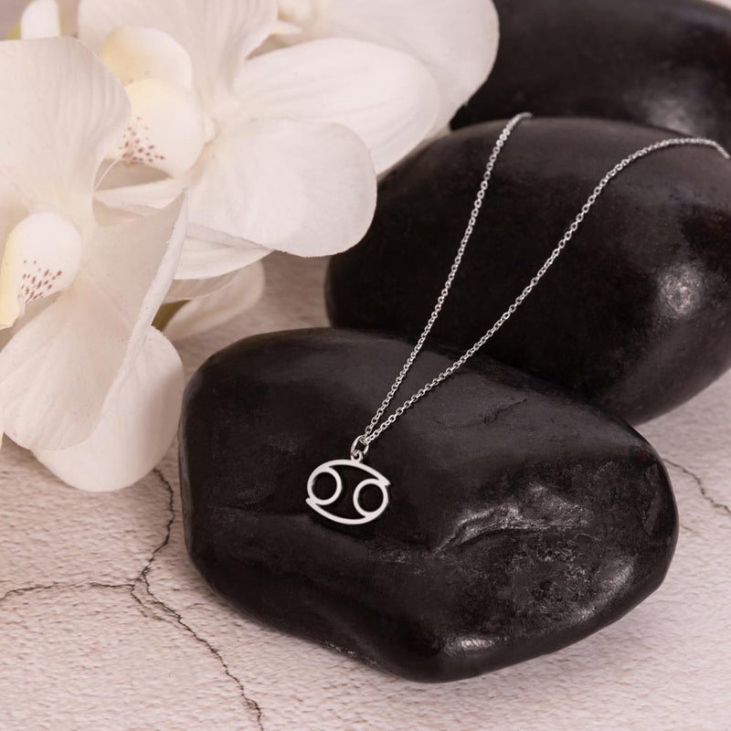 Pipa Bella Silver-Plated Cancer Zodiac Sign Necklace – www.pipabella.com