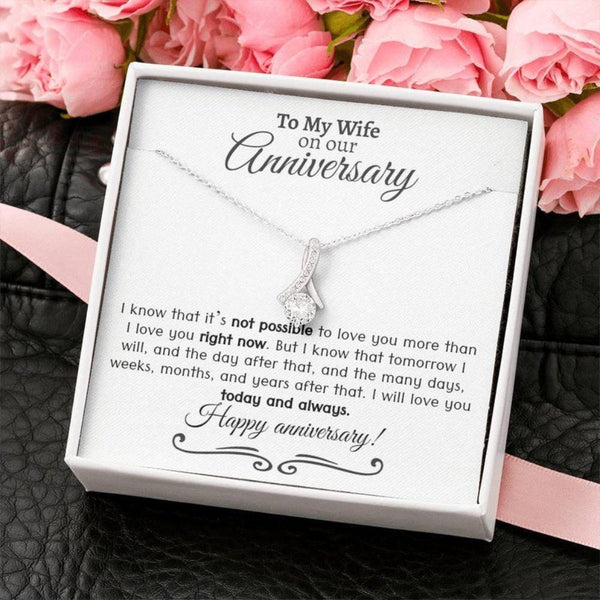 Most Unique Anniversary 2024 Gift For Wife - Pure Silver Necklace Gift Set