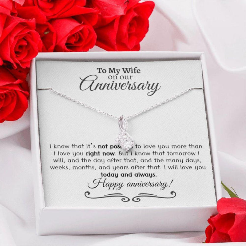 Most Unique Anniversary 2024 Gift For Wife - Pure Silver Necklace Gift Set