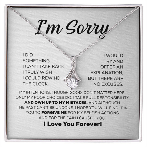 Heartfelt I am Sorry Gift for Girlfriend/Wife - Pure Silver Necklace Gift Set