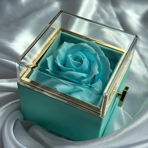 Eternal Rose Rotating Box With Pure Silver Necklace And Message Card Gift Set