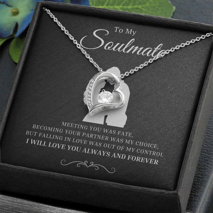 Most Special Unique Gift For Soulmate 2025 - Pure Silver Necklace Gift Set